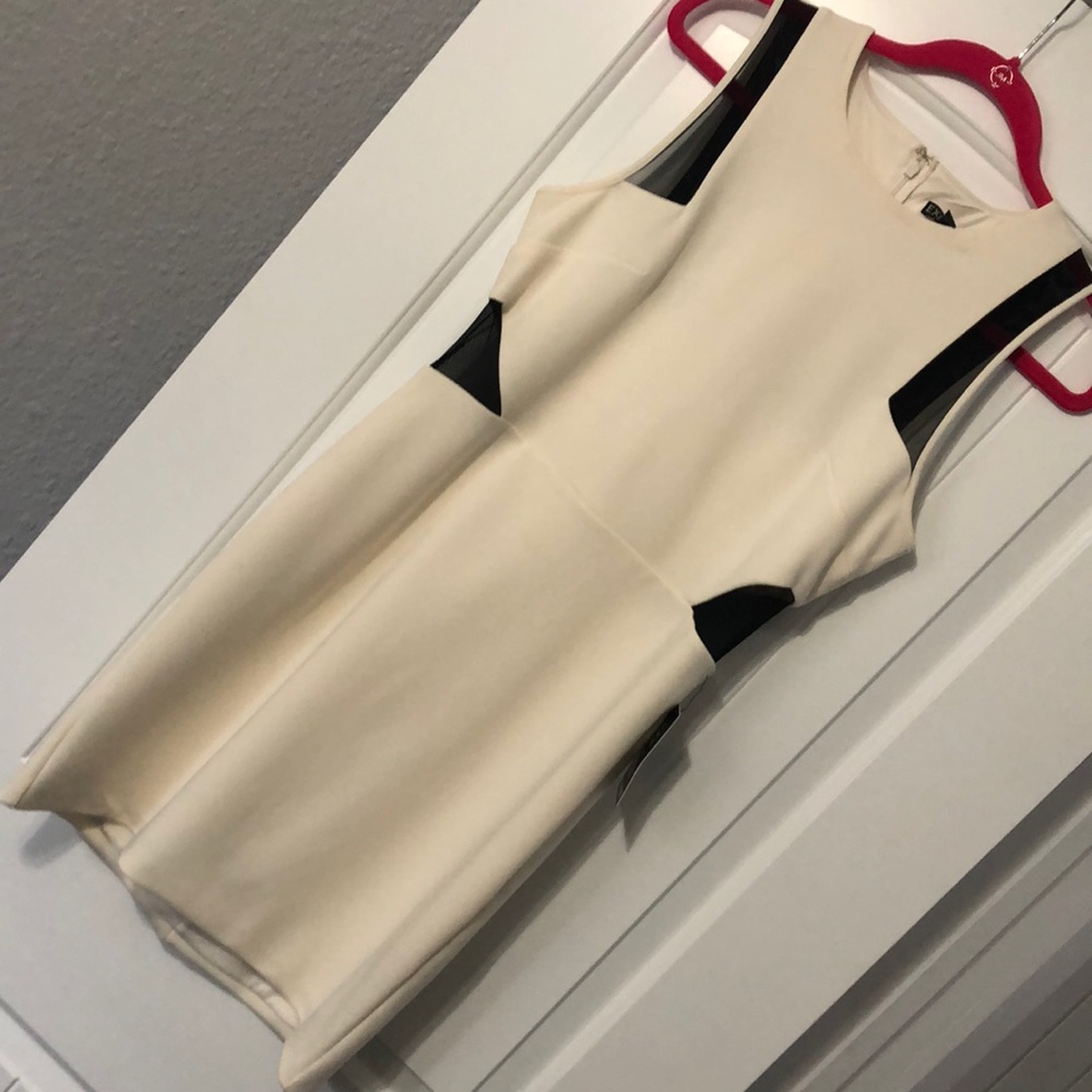 Cream and Black Sleeveless Sheath Dress